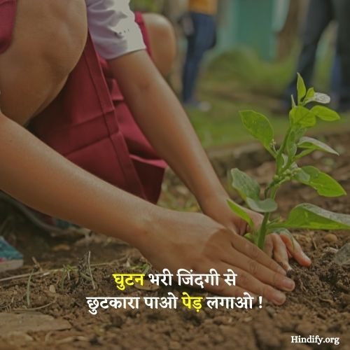 poster on save trees save earth in hindi