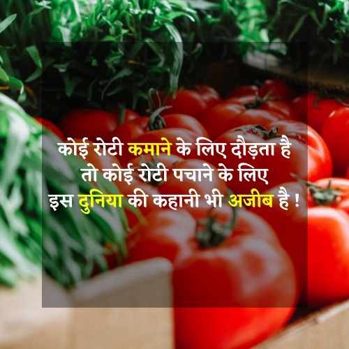 slogan about eating healthy foods in hindi