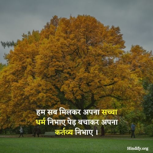 slogan on forest conservation in hindi
