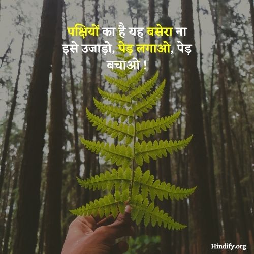 slogans on forest in hindi