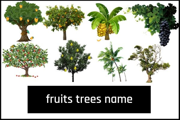 trees name in hindi