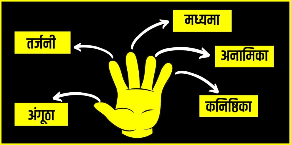 fingers name in hindi 