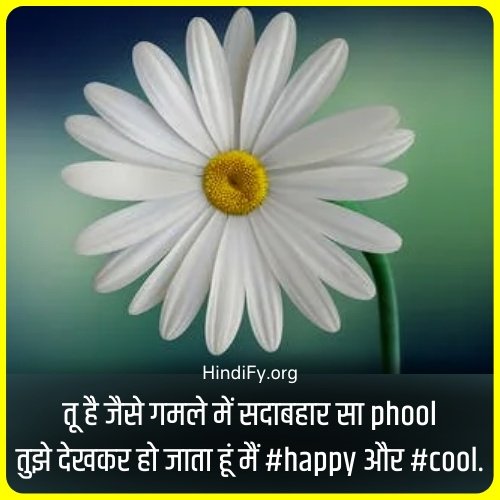 happy quotes in hindi dp