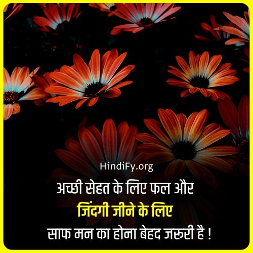 health quotes in hindi dp