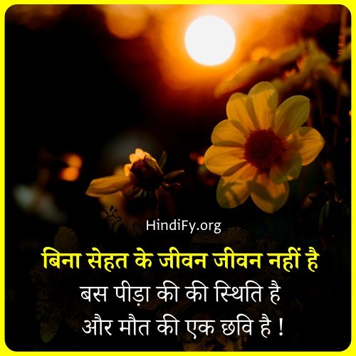 stay healthy quotes in hindi