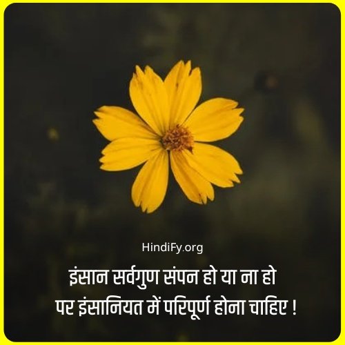 humanity quotes in hindi dp