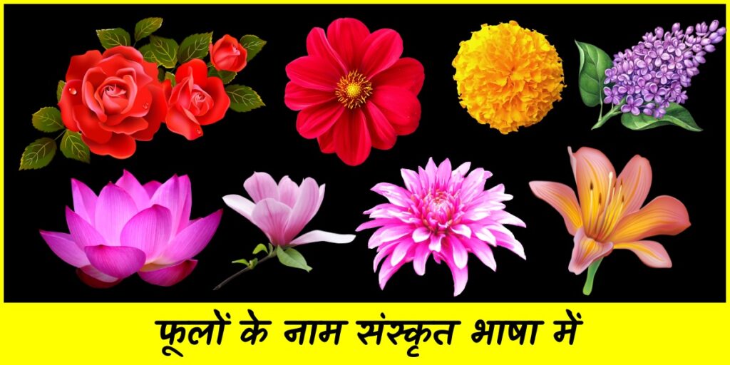 flowers name in sanskrit