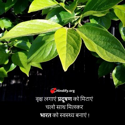 hindi slogans on trees