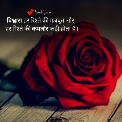 trust quotes hindi image