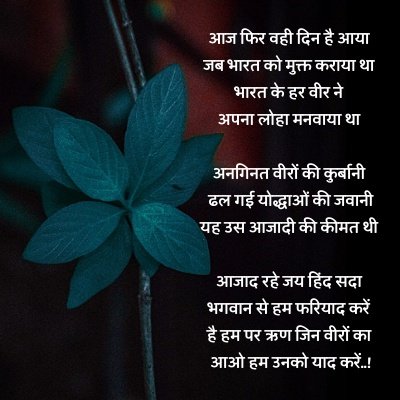 poetry on patriotism in hindi