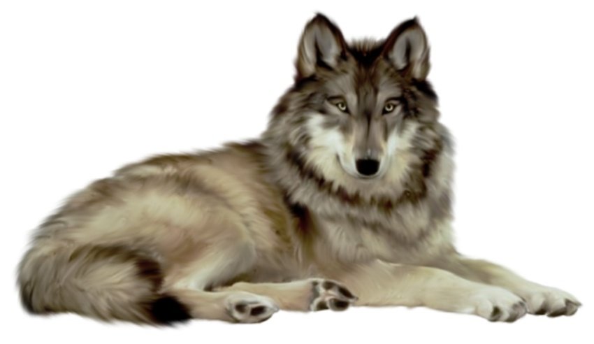 wolf image sanskrit