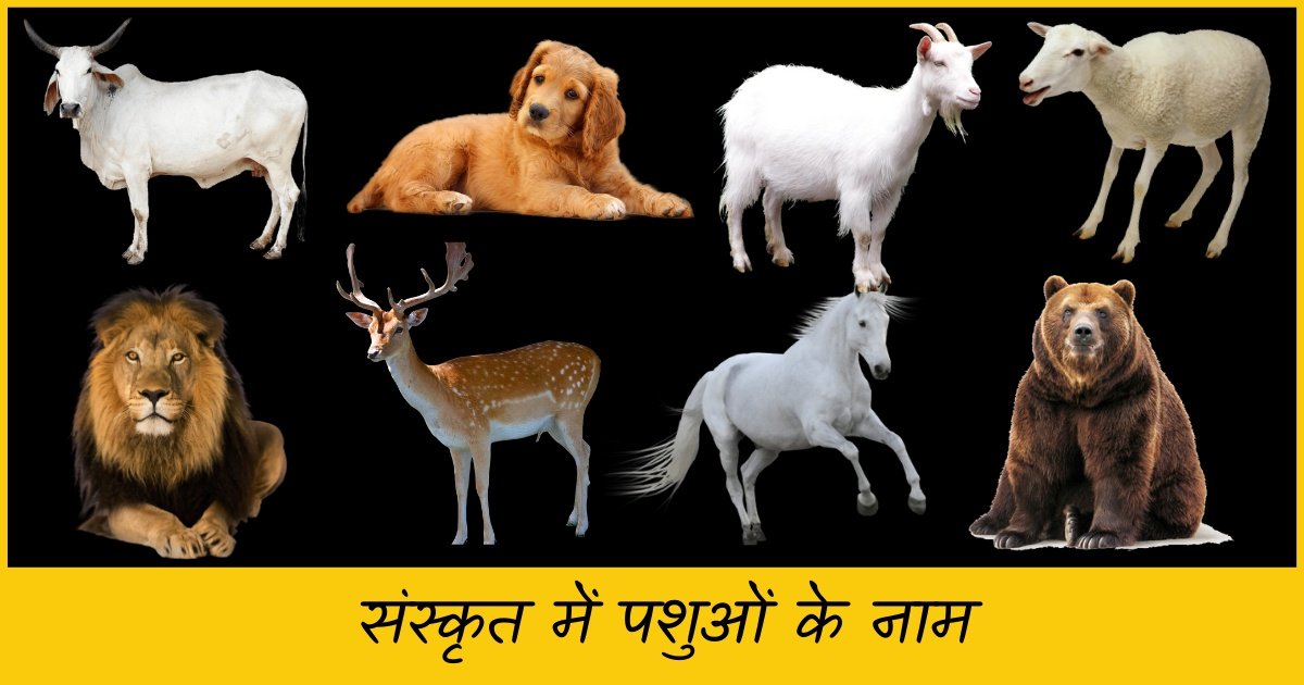 Animals Name in Sanskrit | संस्कृत भाषा में जानवरों के नाम (2022)