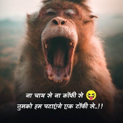 funny quotes in hindi for instagram