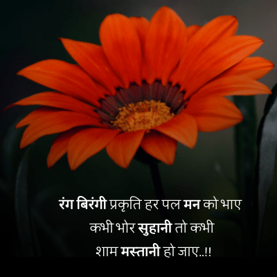 nature quotes in hindi