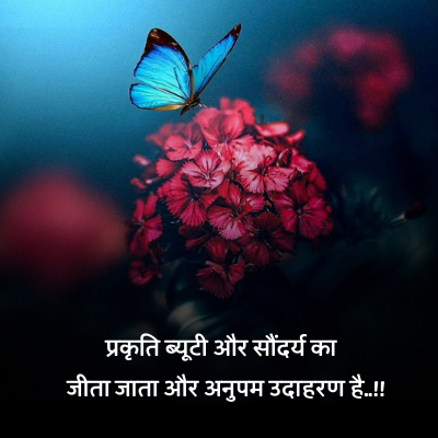 love nature quotes in hindi