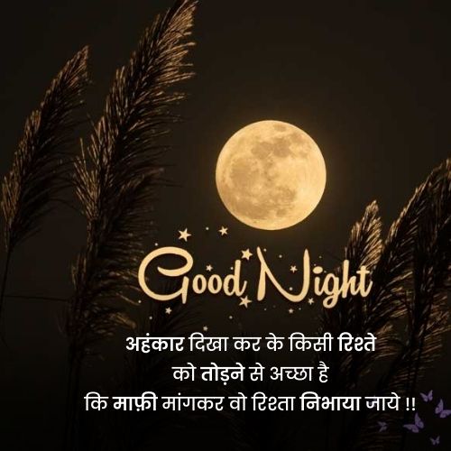 good night quotes hindi28