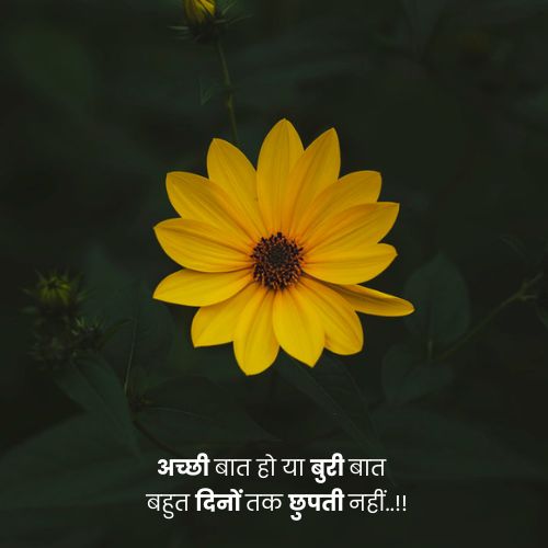 thought of the day in hindi photo