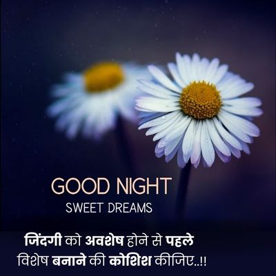 good night quotes hindi30