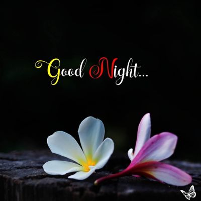special good night image
