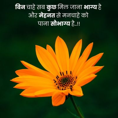 positive quotes in hindi 