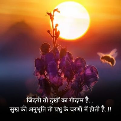 cute funny quotes in hindi on life