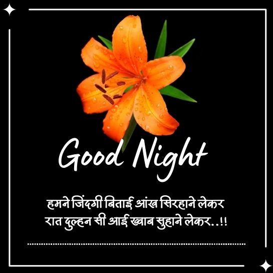 good night quotes for wife in hindi