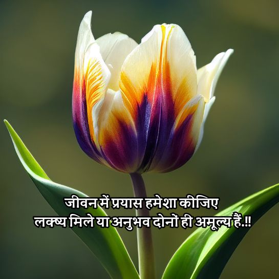life quotes in hindi29