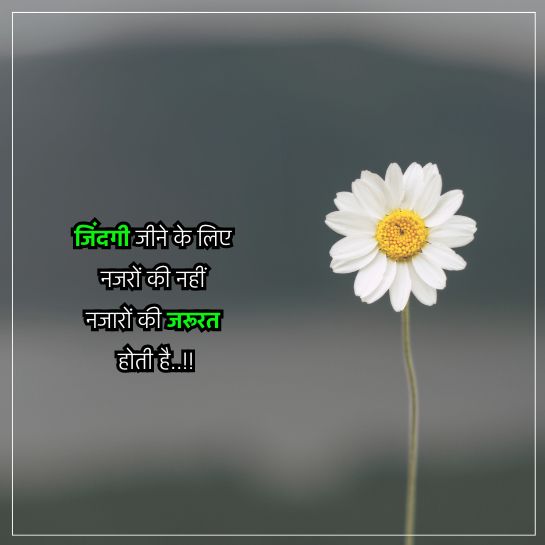 life quotes in hindi